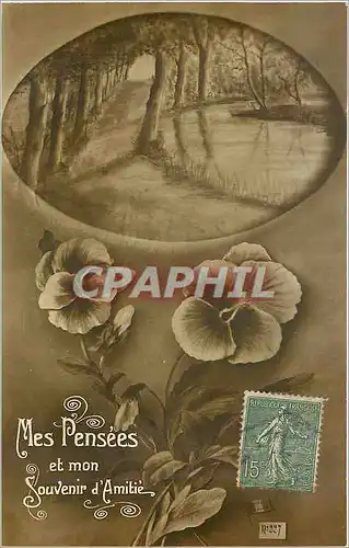 Cartes postales Mes Pens�es et mon Souvenir d'Amiti�s