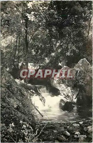 Cartes postales moderne POTIGNY (Calvados) La Cascade du Mont Joly