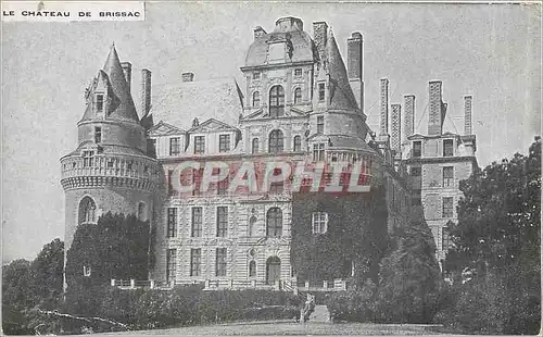 Cartes postales Le Ch�teau de Brissac