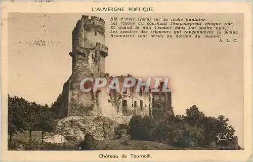 Cartes postales Ch�teau de Tourno�l