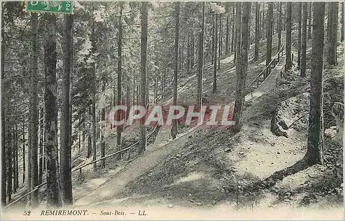 Cartes postales REMIREMONT - Sous-bois