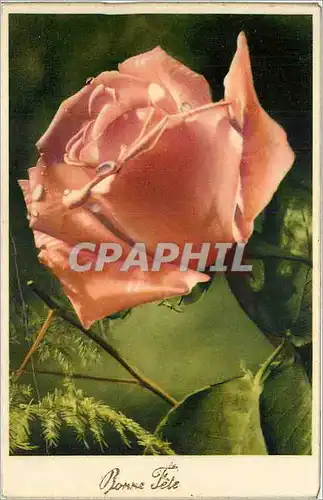 Cartes postales Bonne F�te