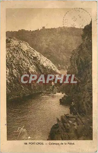 Cartes postales PORT-CROS - Calanque de la Palud