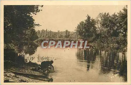 Cartes postales Les rives de la Dordogne