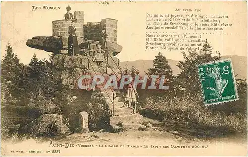 Cartes postales SAINT DIE (VOSGES)- LA CHAINE DU DIABLE Le sapin sec