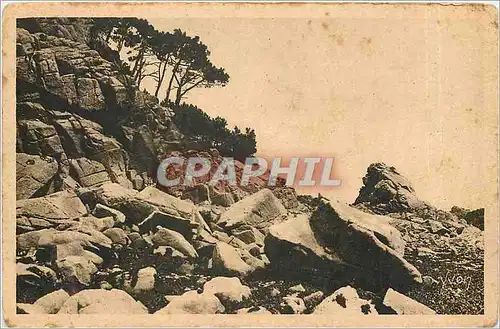 Ansichtskarte AK COTE DE GRANIT-ILE DE BREHAT (CODE N) Le Riva de l'ile a l'arriv�e