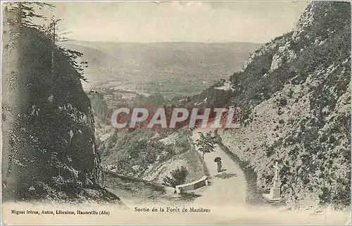 Ansichtskarte AK Sortie de  Foret e mazieres
