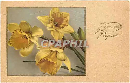 Cartes postales Voeux  Fleurs