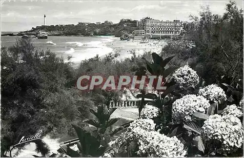 Cartes postales moderne BIARRITZ-LES HORTENSIONS et vue sur le Phare