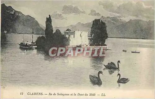 Cartes postales CLARENS- Ile de Salagnon et la Dent du Midi