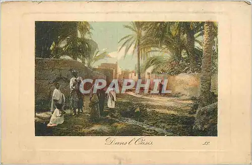 Cartes postales DANS L'OASIS