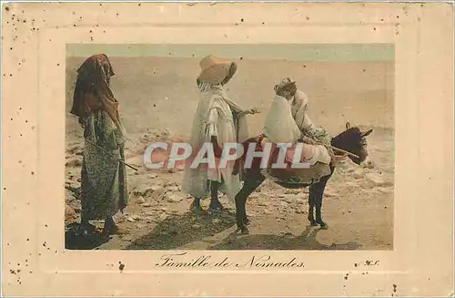 Cartes postales Famille de nomades Ane Mule