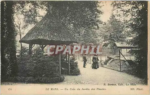 Ansichtskarte AK LE MANS-Un coin du jardin des Plantes