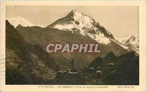 Ansichtskarte AK PYRENEES-UN TROUPEAU DANS LA HAUTE MONTAGNE