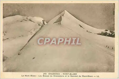 Cartes postales CHARMONIC-MONT BLANC-Les Bosses du Dromadaire et le Sommet du Mont Blanc