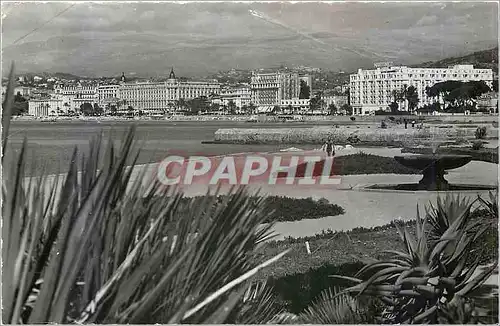 Cartes postales moderne CANNES-Les Hotels su la Croissete Vue du Beach