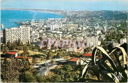 Moderne Karte ALGER Vue panoramique