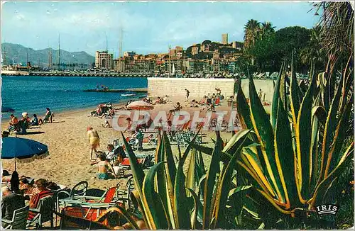 Cartes postales REFLETS DE LA COTE D'AZUR-CANNES