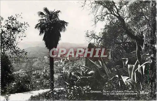 Cartes postales La Cite des Parfums-GRASSE-Vue de ses Jardins exotiques