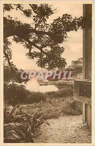 Ansichtskarte AK Ile de Port-Cros.Commune d'Hyeres(Var).De l'Hostellerierovencale:le Port et le Fort Francois