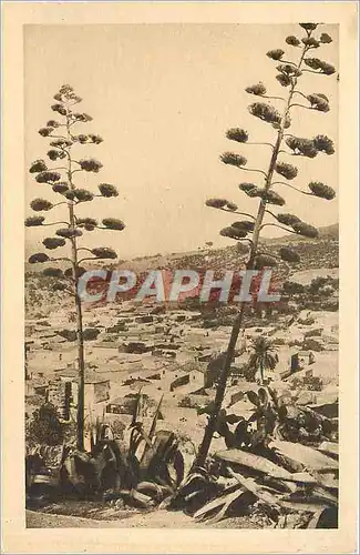 Cartes postales L'ALGERIE-Terre accueillante   aux sites inoubliables aux climat ideal  vous convie aux fetes de