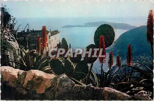 Cartes postales NICE -REFLET DE LA COTE D'AZUR