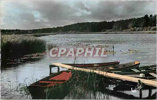 Cartes postales LES MERVEILLES DU VAL DE LOIRET-PAYSAGE DE SOLOGNE