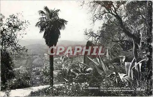 Cartes postales moderne LA CITE DES FLEURS-673-GRASSE-Vue de ses Jardins exotiques