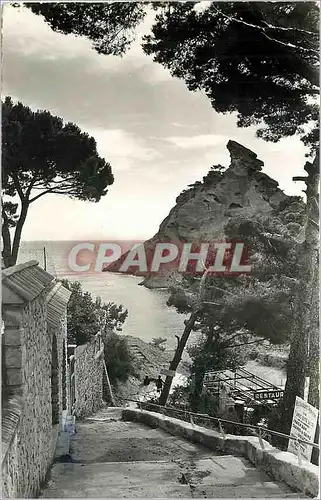 Cartes postales moderne LA CIOTAT-Calanques de Figuerolles