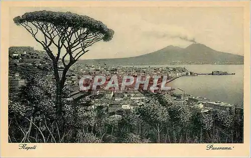 Cartes postales NAPOLI Panorama