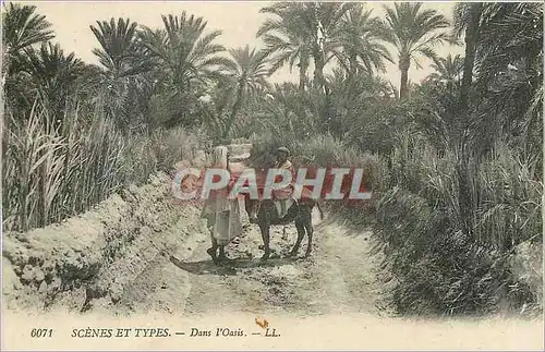 Cartes postales SCENES ET TYPES-Dans l'oasis