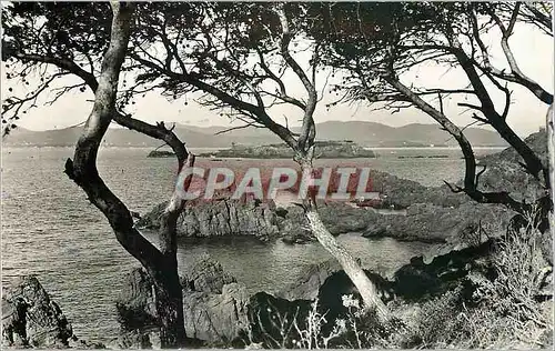 Cartes postales LA COTE D'AZUR AB52-St RAPHAEL(Var)-Le Lion de terre vu de Santa-lucia