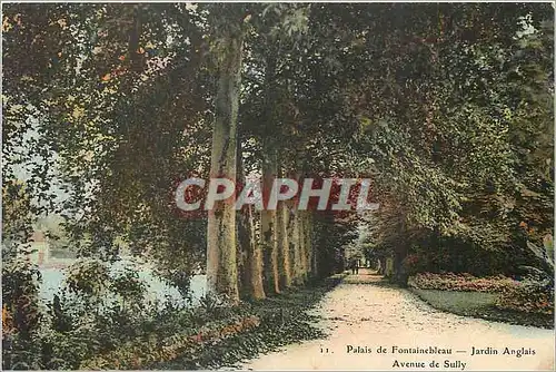 Ansichtskarte AK Palais de Fontainebleau-Jardin Anglais-Avenue de Sully