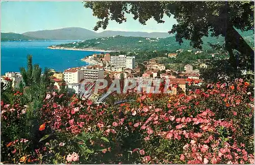 Cartes postales SAINTE MAXIME SUR MER (Var)-vue generale