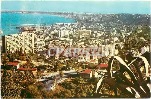 Moderne Karte Alger Vue panoramique