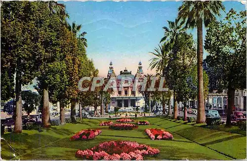 Cartes postales Monte Carlo Le Casino et les Jardins