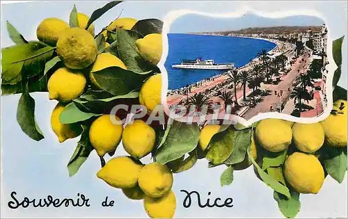 Cartes postales moderne Souvenir de Nice Citron