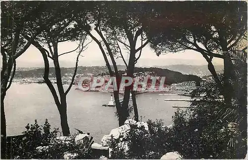 Cartes postales Nice Entree les Pins