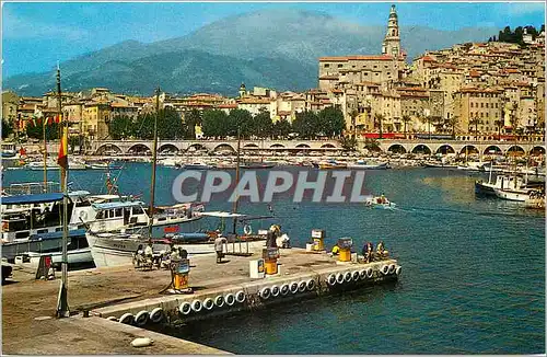 Cartes postales moderne Les Sites Merveilleux de La Cote d'Azur Menton Alpes Maritimes Vue sur le petit port et la Vieil