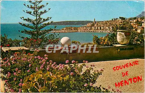 Cartes postales moderne Les Sites Merveilleux de La Cote d'Azur Menton Vue generale