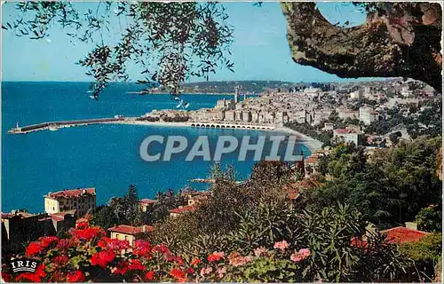 Cartes postales moderne Menton Vue prise du splendide domaine des Colombieres