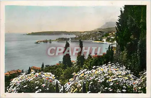 Cartes postales Menton et le Cap Martin