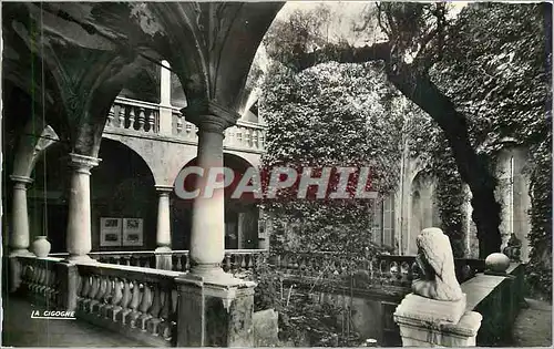 Cartes postales moderne Cagnes sur Mer AM La Ville Haute La Cour du Chateau Grimaldi