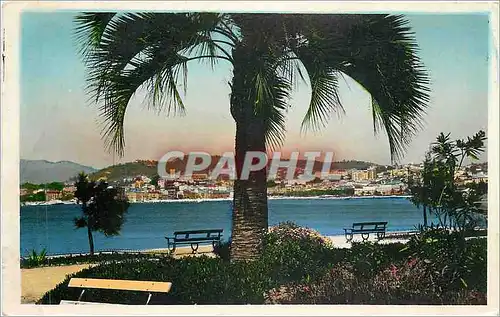 Cartes postales moderne Cannes Vue generale de la Croisette