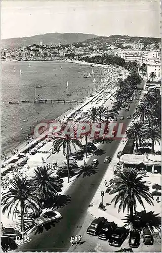 Cartes postales moderne Cannes Le Boulevard de la Croisette et le Suquet