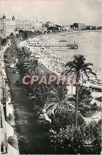 Cartes postales moderne Cannes La Promenade de la Croisette