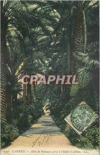 Cartes postales Cannes Allee de Palmiers prise a l'Hotel d'Albion