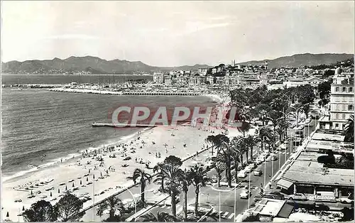 Cartes postales moderne Cannes AM A l'Extremite de la Croisette les Jardins du Casino les Jardins du Casino le Port et l