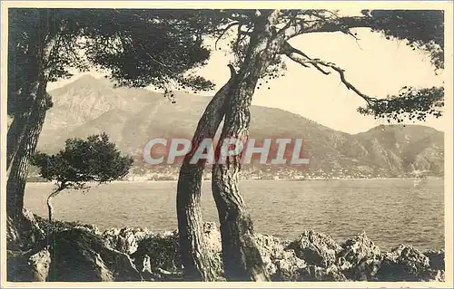 Cartes postales Cote d'Azur Au Cap Martin