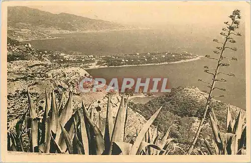 Cartes postales Cote d'Azur Le Cap Martin vu du Rond Point de la Turbie Alpes Maritimes